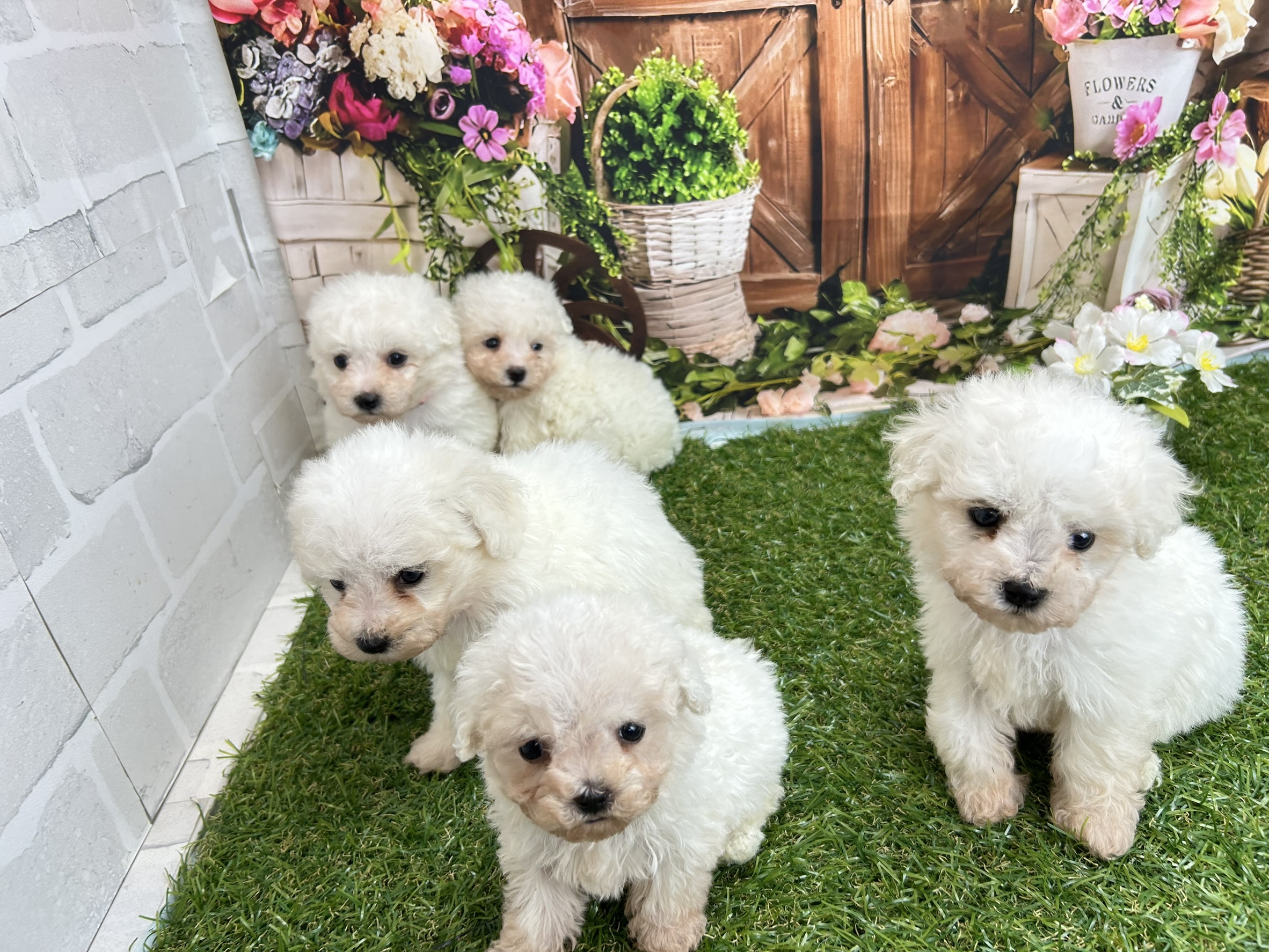 赤ちゃん写真2-3