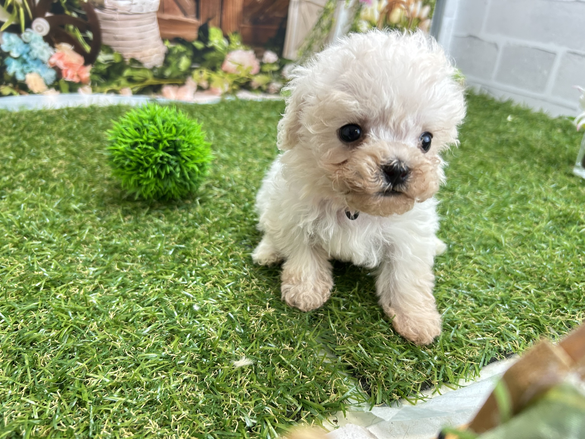 赤ちゃん写真3-1