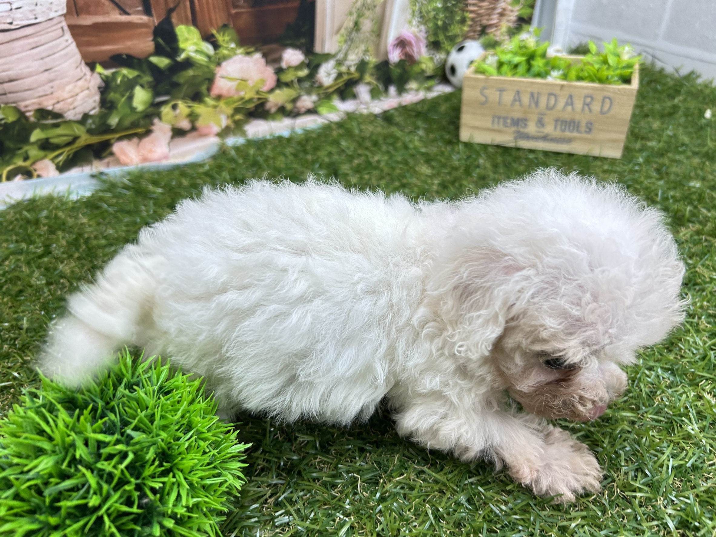 赤ちゃん写真3-2