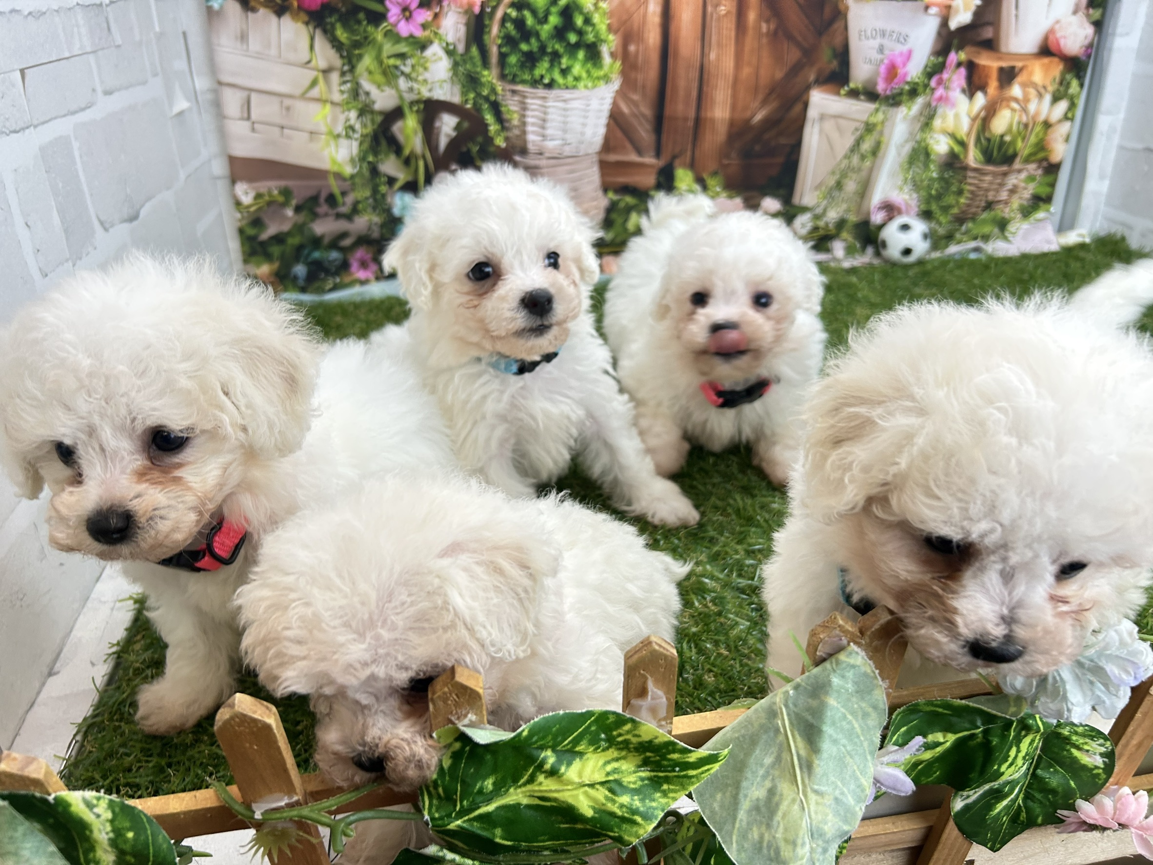 赤ちゃん写真3-3