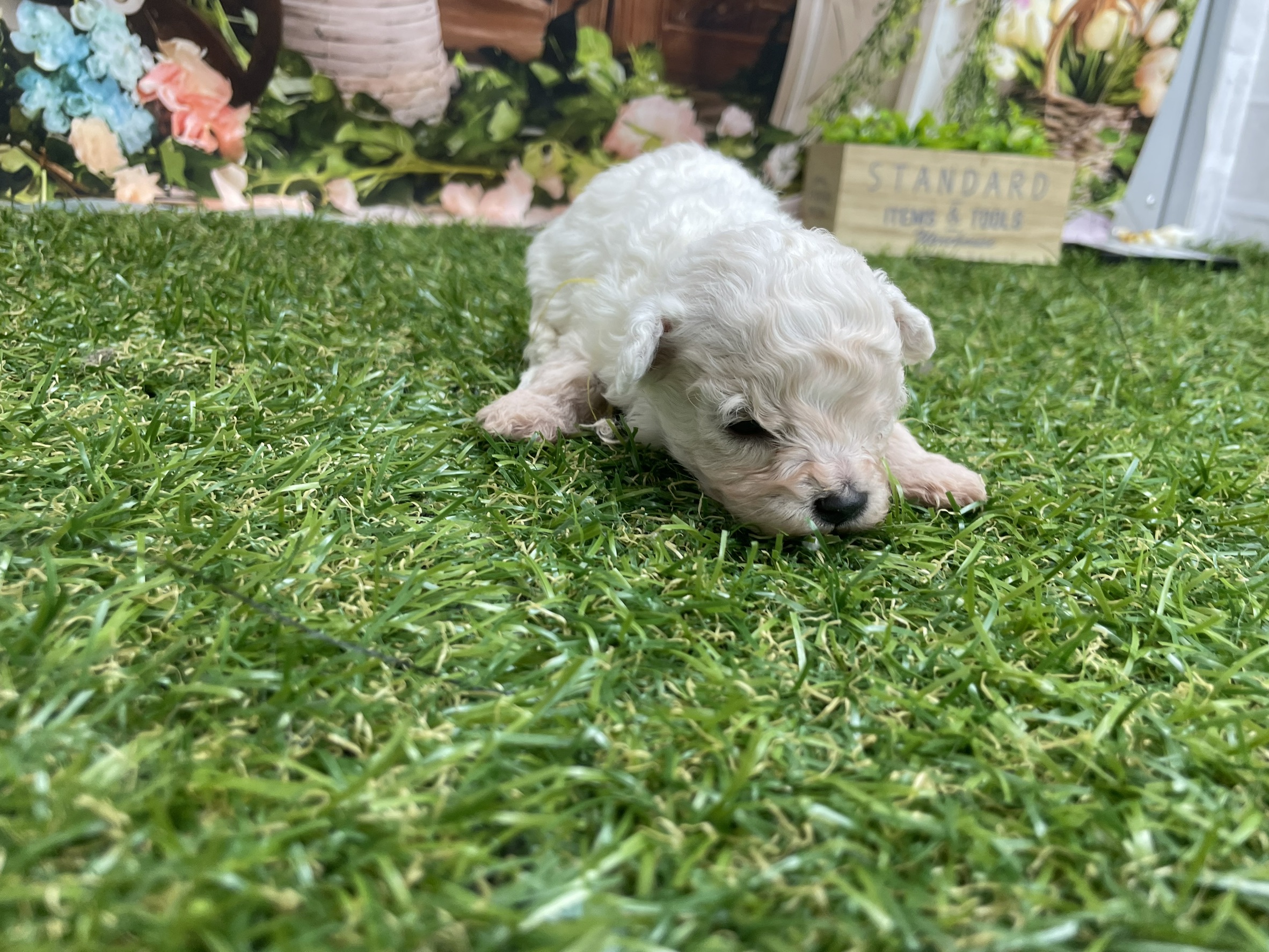 赤ちゃん写真1-1