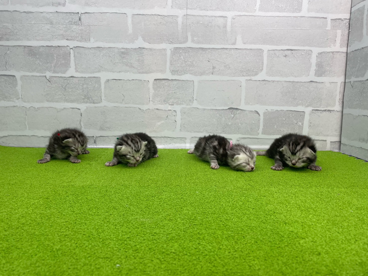 赤ちゃん写真1-3