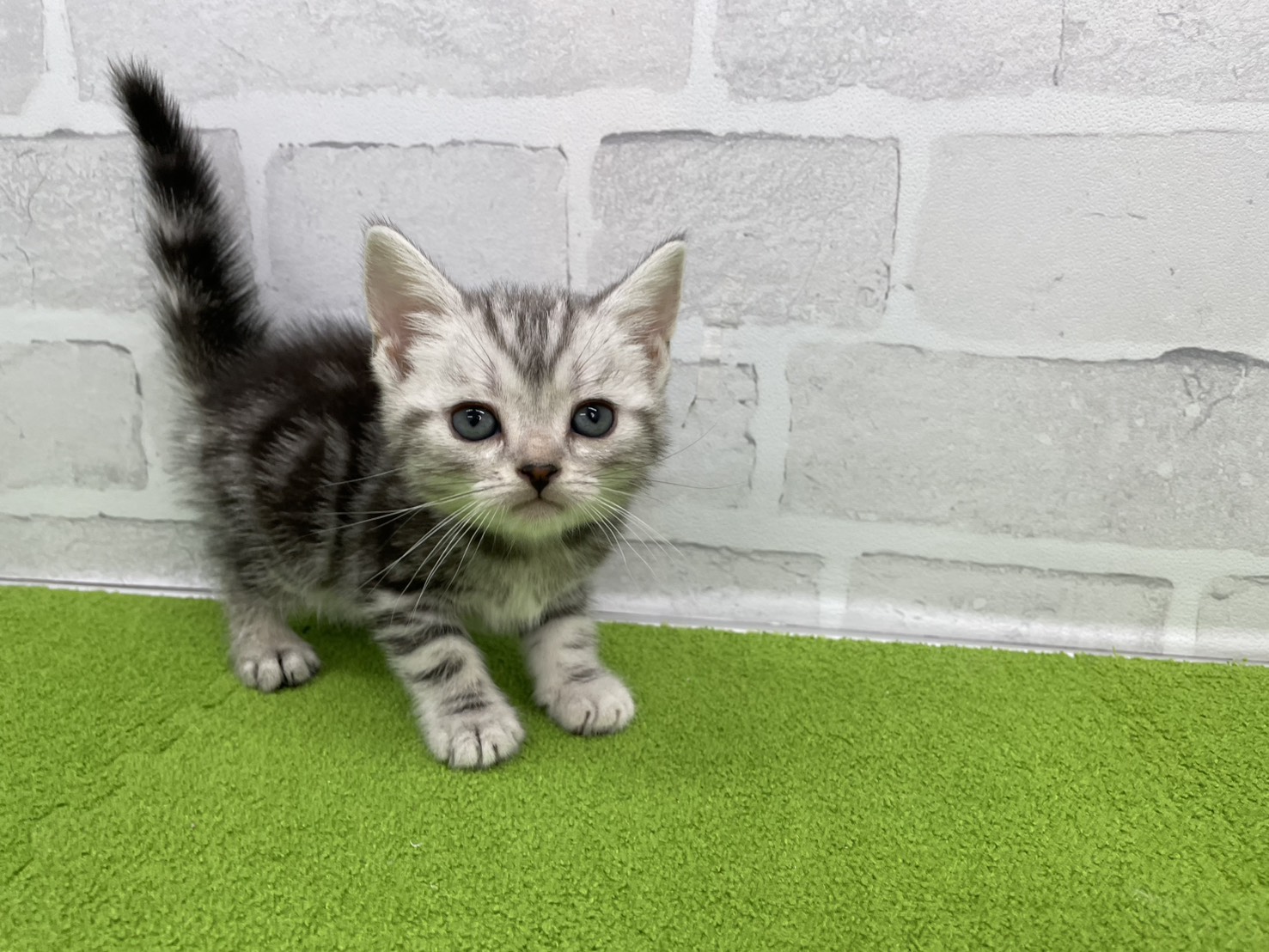 赤ちゃん写真2-1