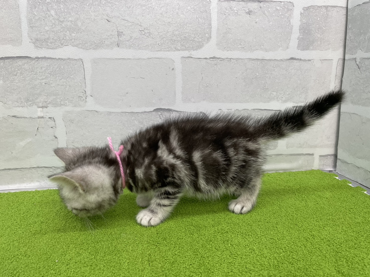 赤ちゃん写真2-2