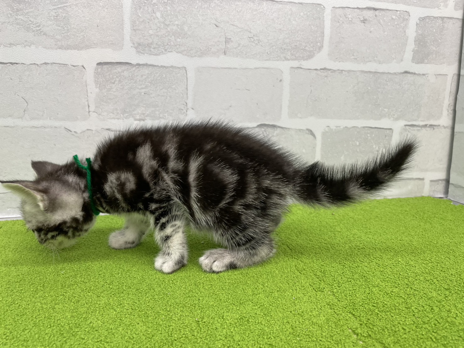 赤ちゃん写真2-2