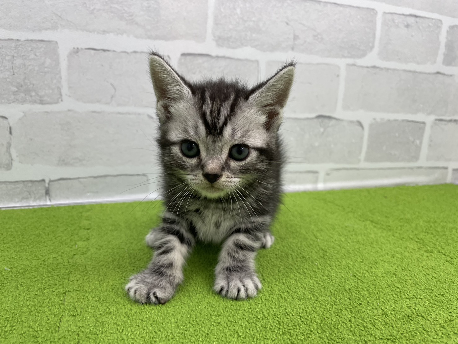 赤ちゃん写真2-1