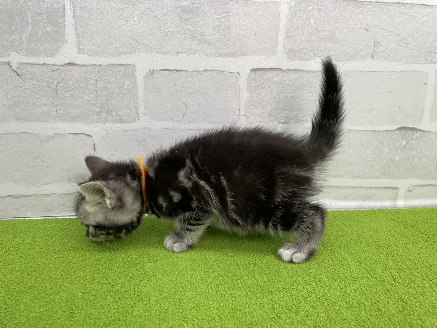 赤ちゃん写真2-2