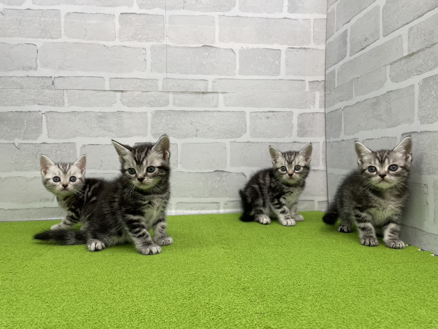 赤ちゃん写真2-3