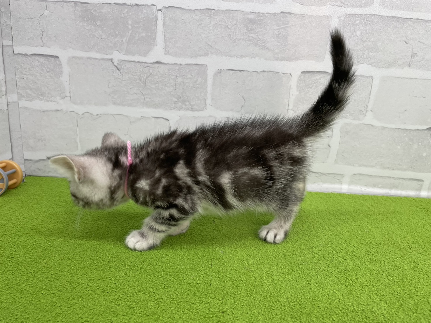 赤ちゃん写真3-2