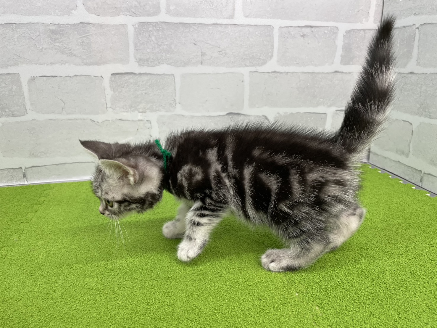 赤ちゃん写真3-2