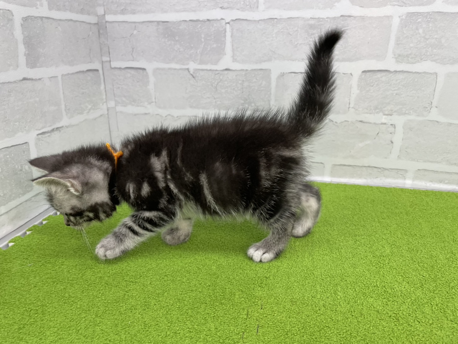 赤ちゃん写真3-2