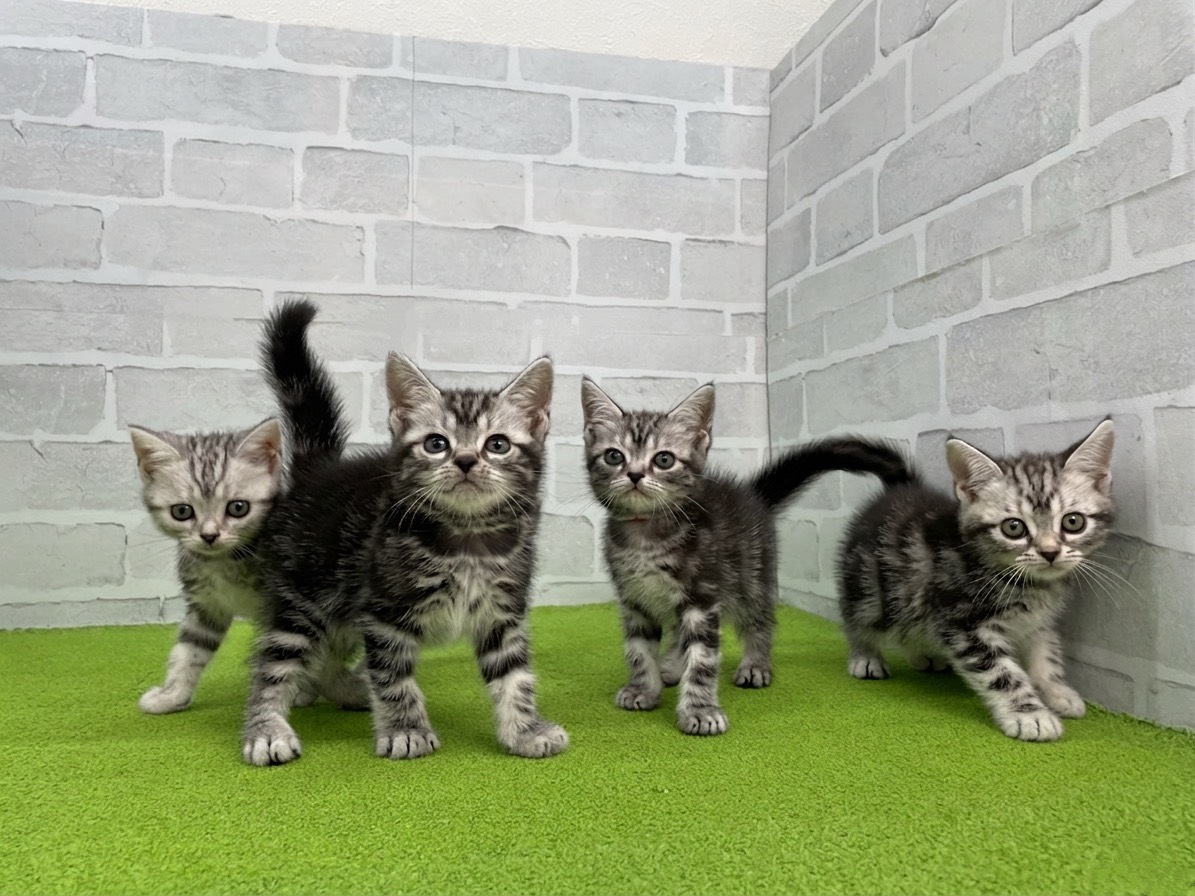 赤ちゃん写真3-3