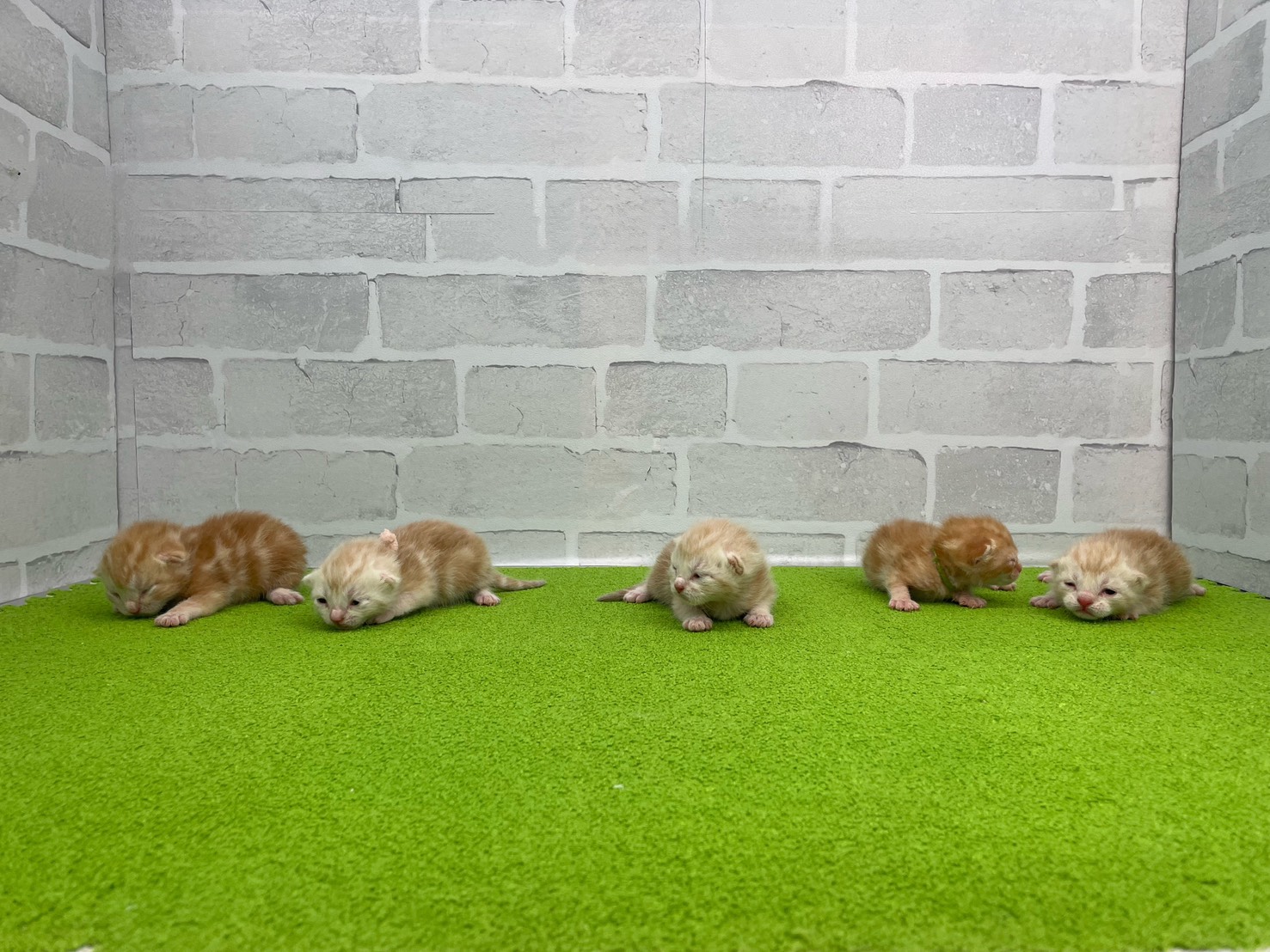 赤ちゃん写真1-3