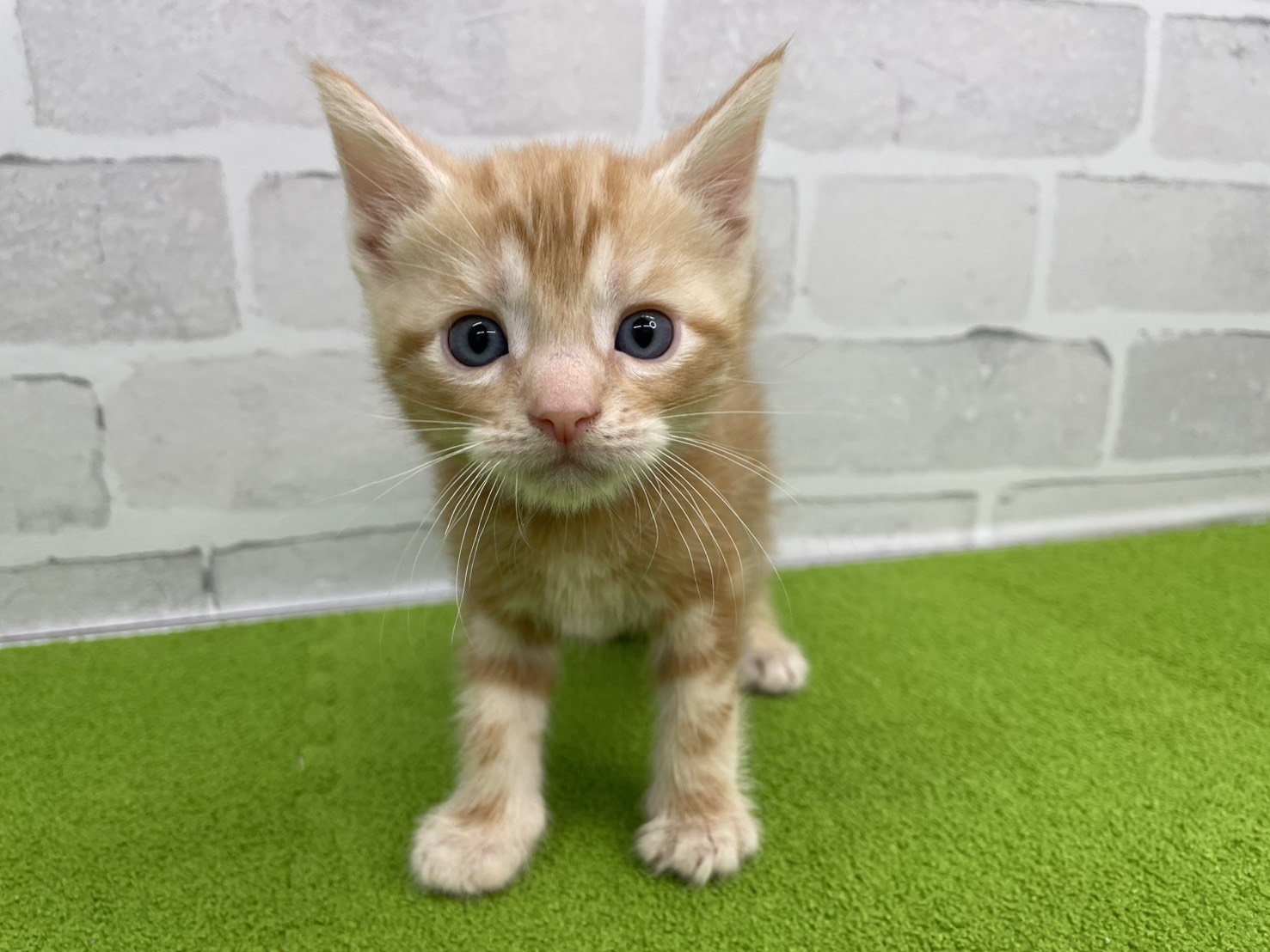 赤ちゃん写真2-1