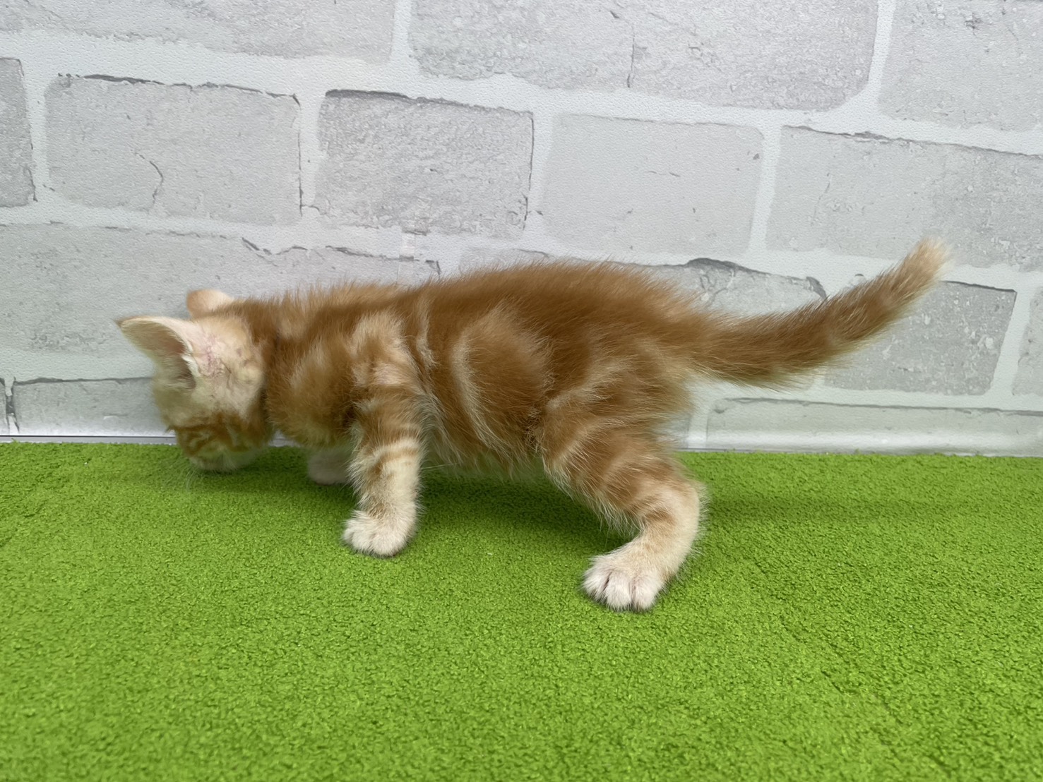 赤ちゃん写真2-2