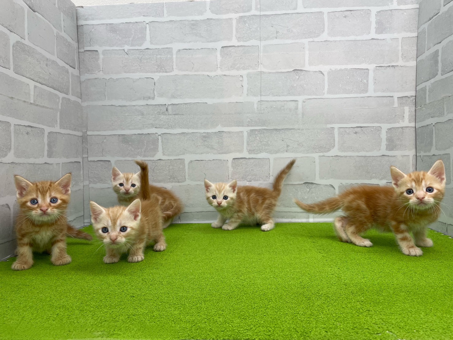 赤ちゃん写真2-3