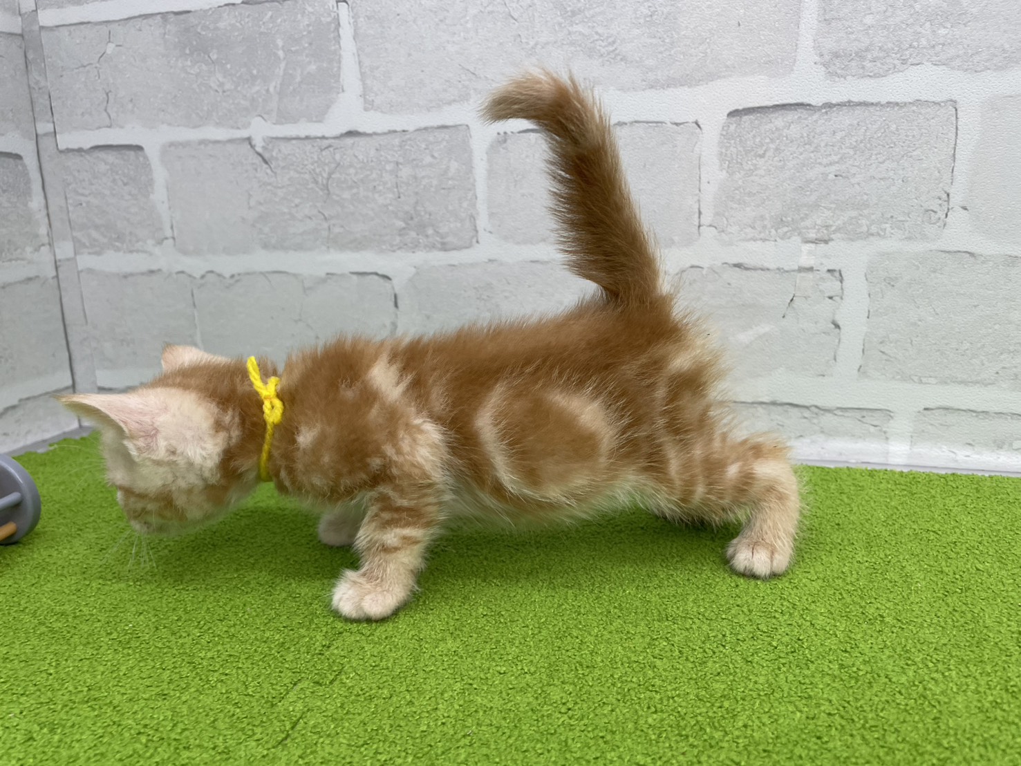 赤ちゃん写真2-2