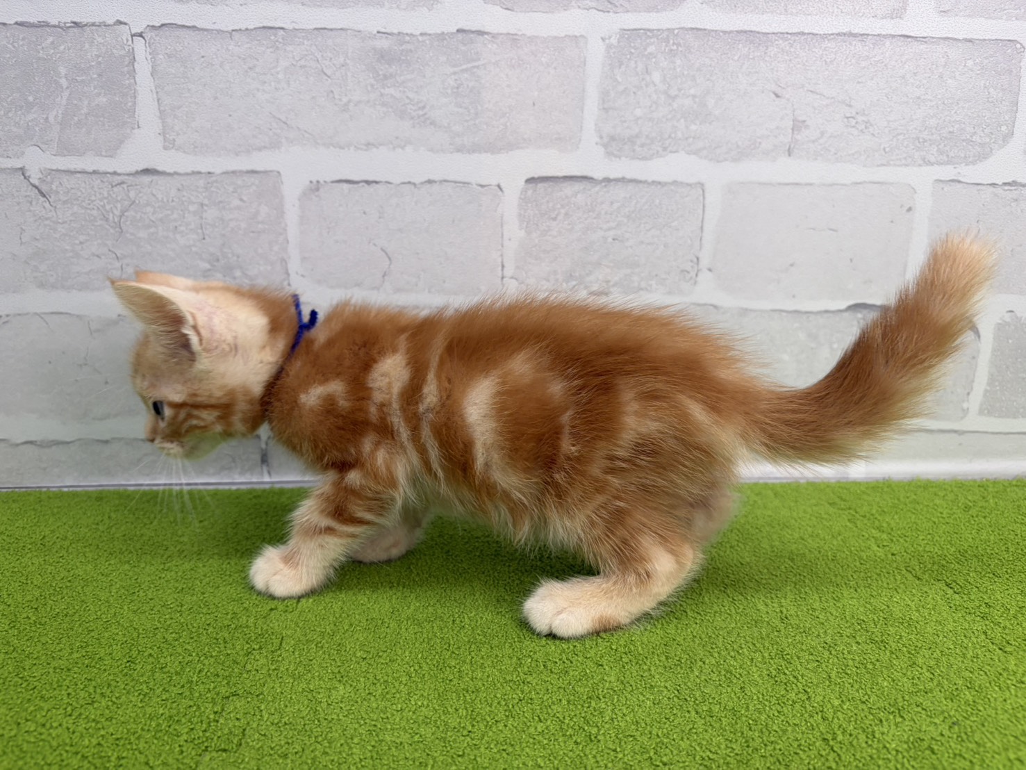 赤ちゃん写真3-2