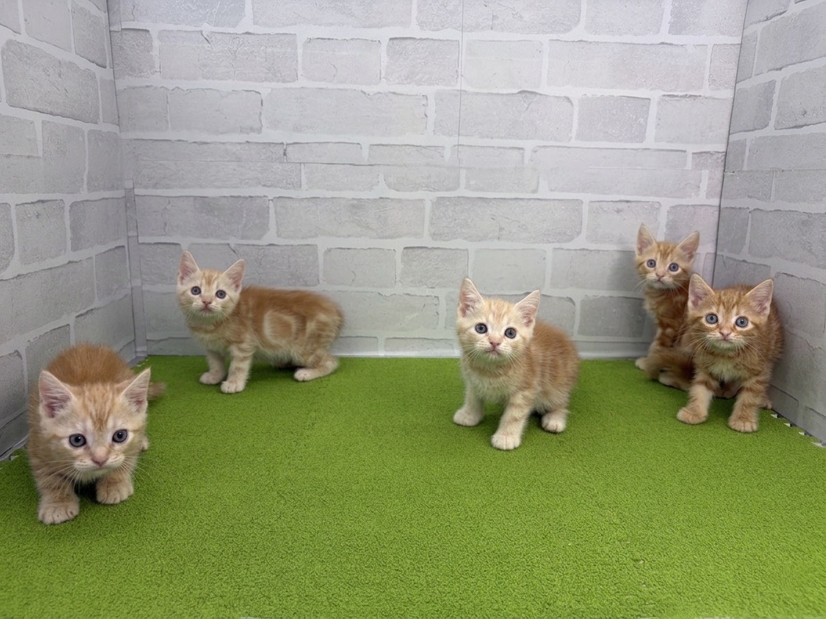 赤ちゃん写真3-3