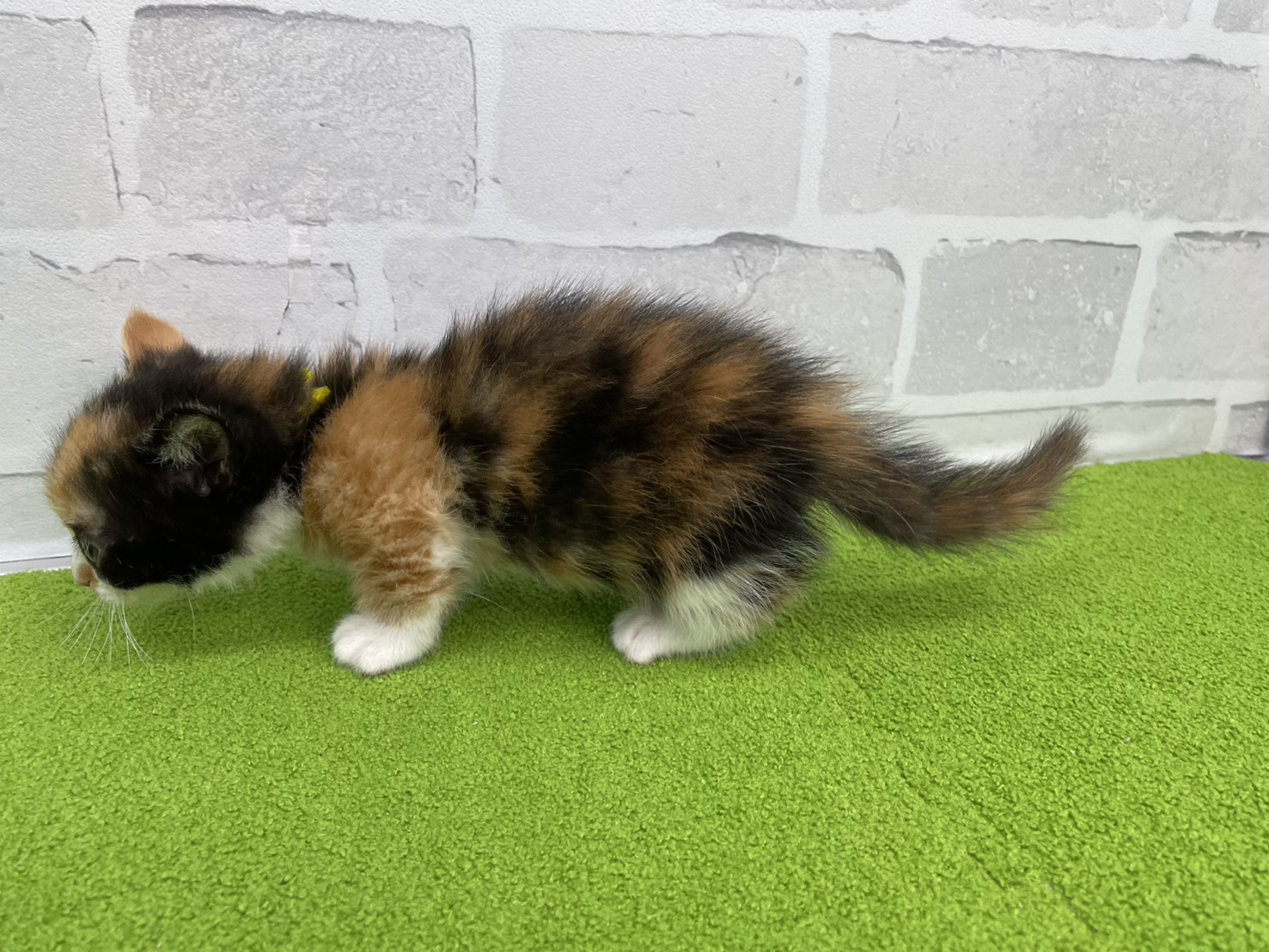 赤ちゃん写真2-2