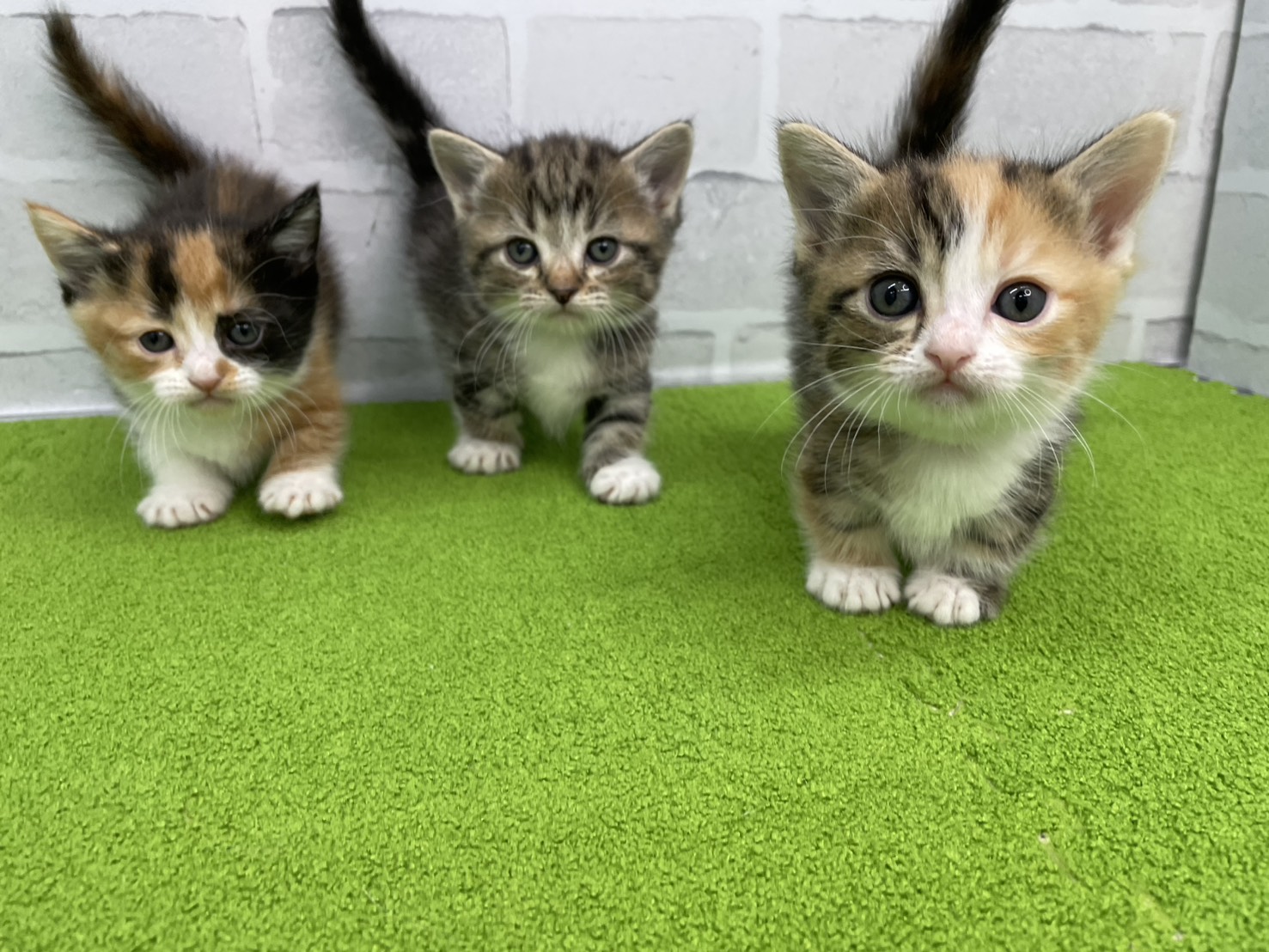 赤ちゃん写真2-3