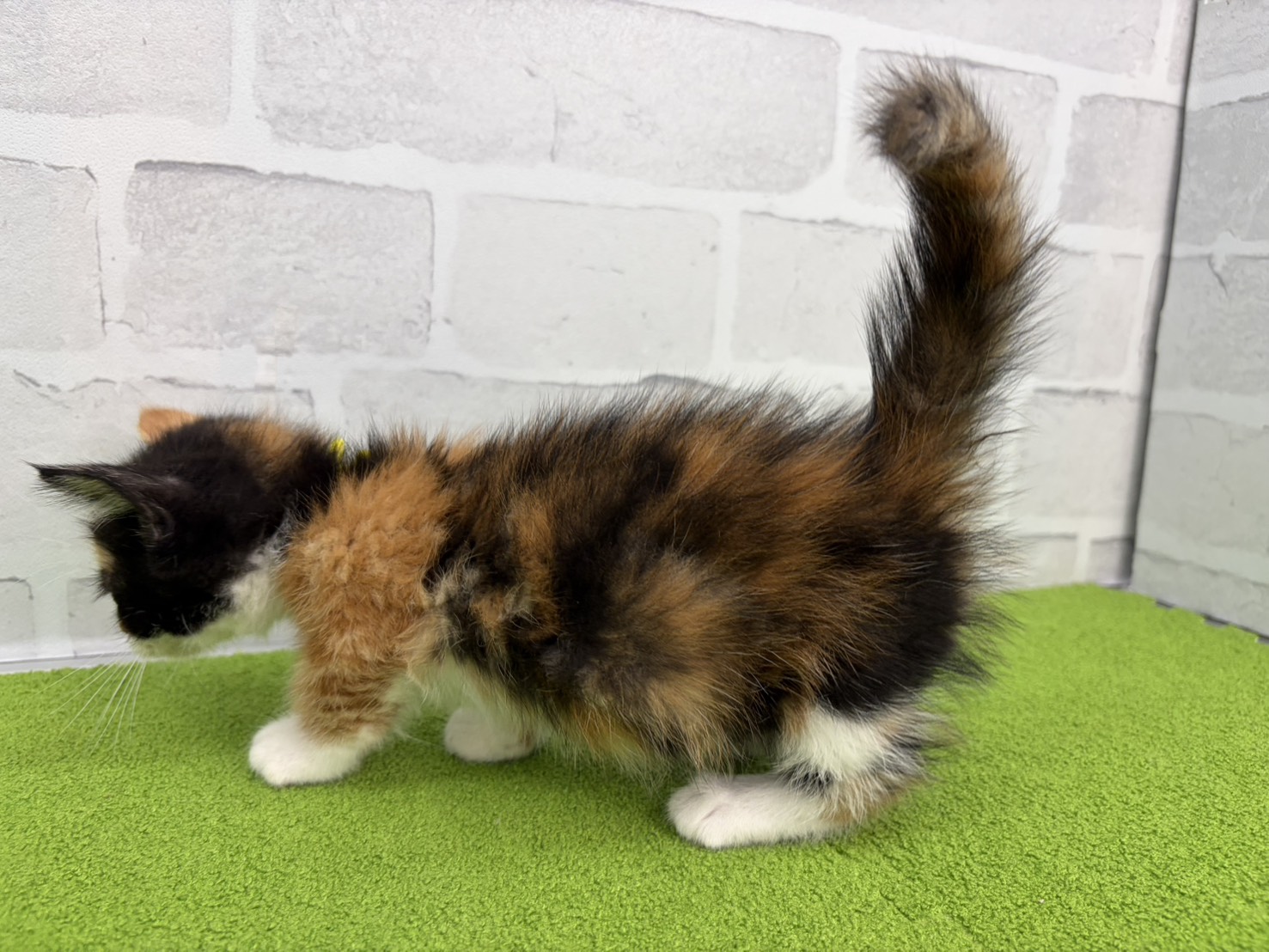 赤ちゃん写真3-2