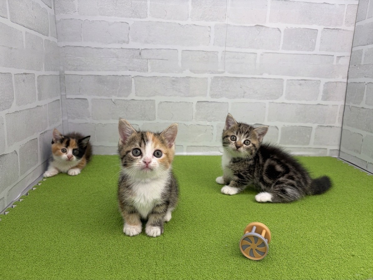 赤ちゃん写真3-3