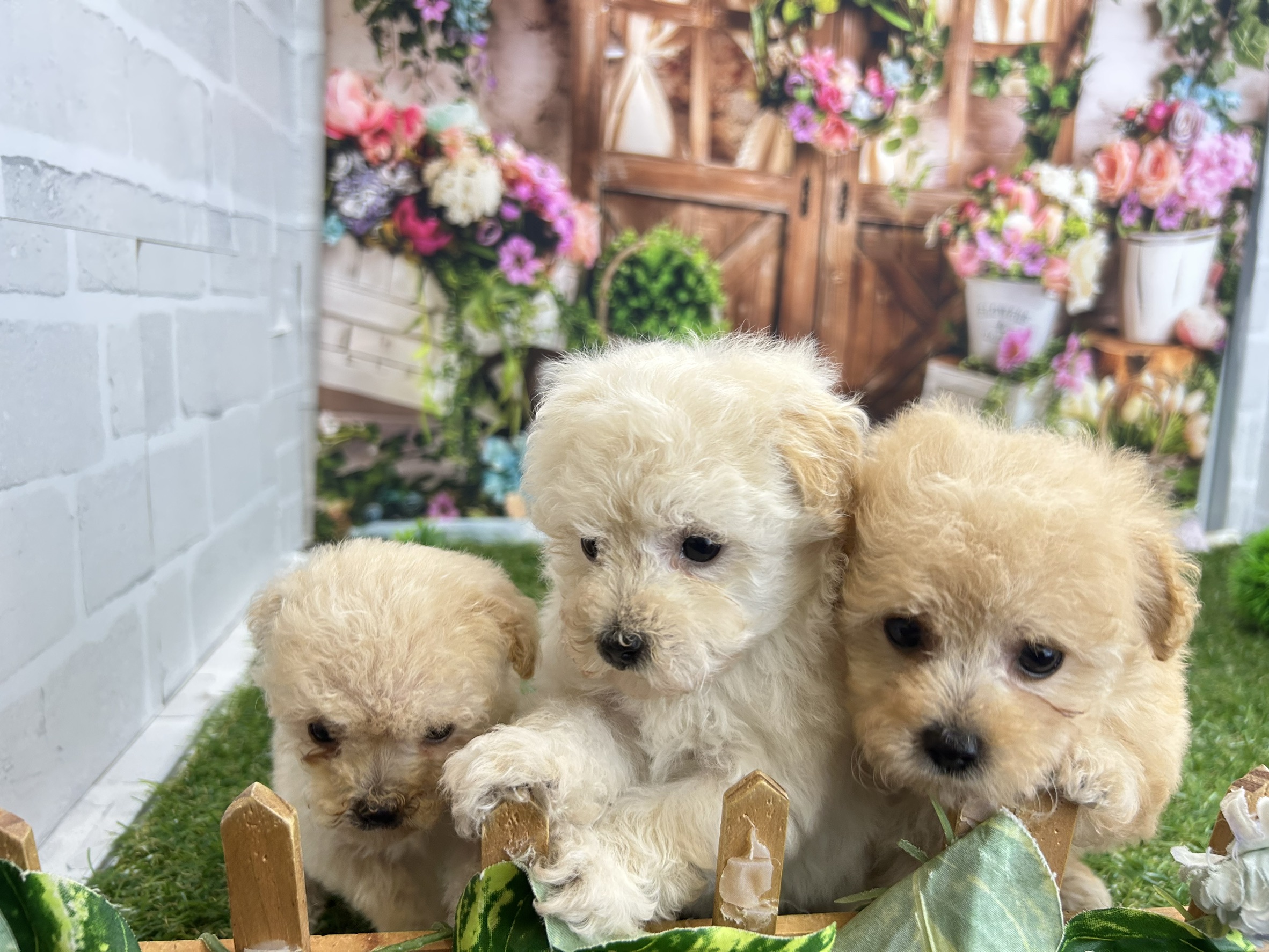 赤ちゃん写真2-3