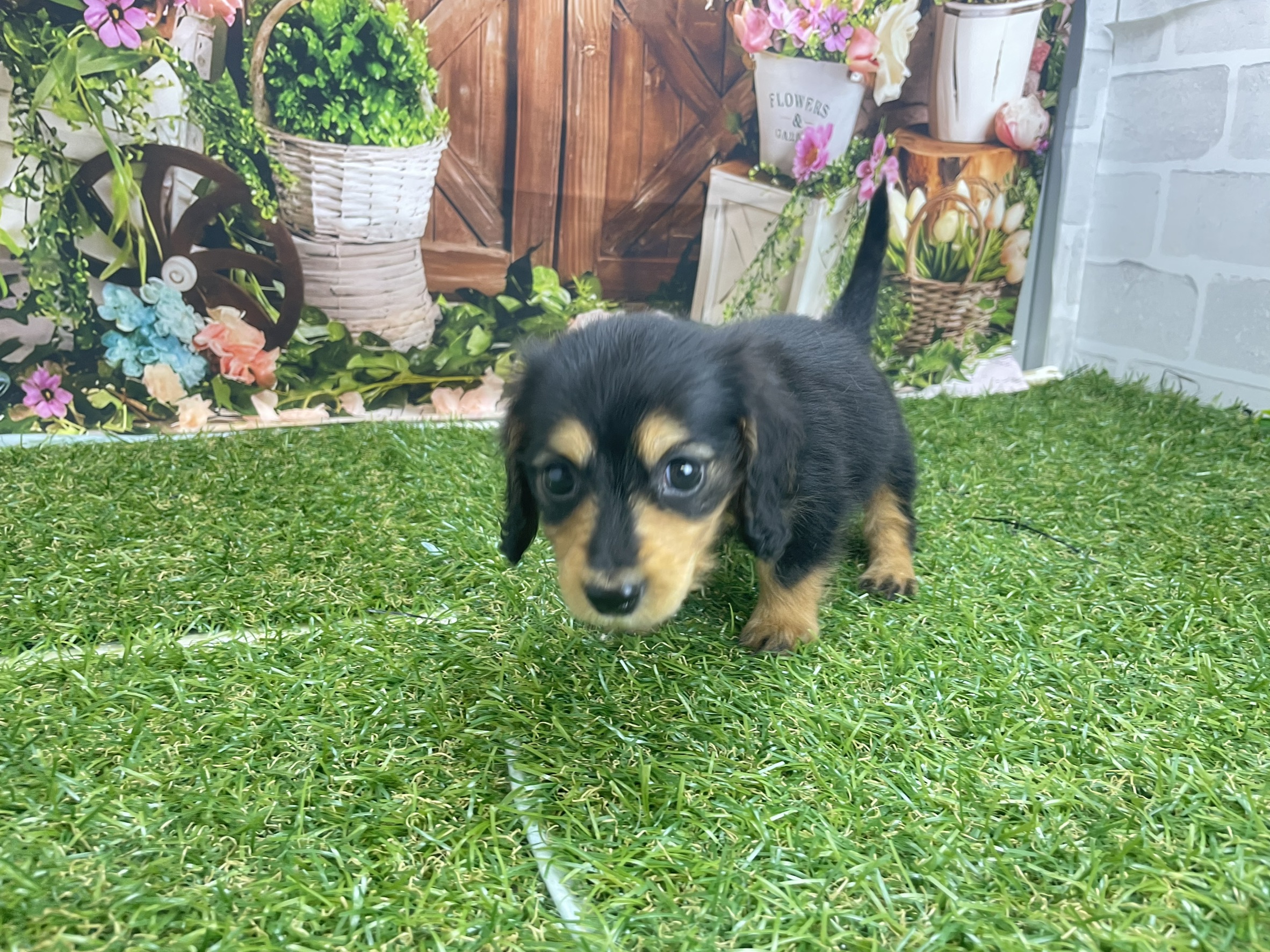 赤ちゃん写真3-2