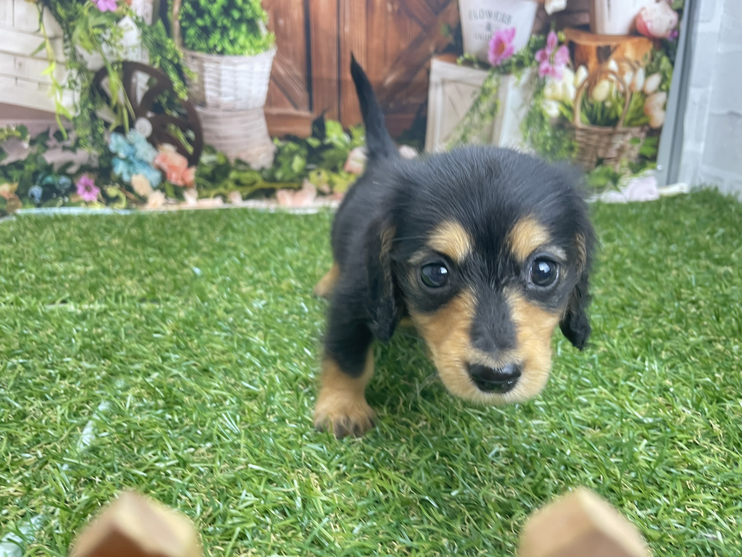 赤ちゃん写真3-3