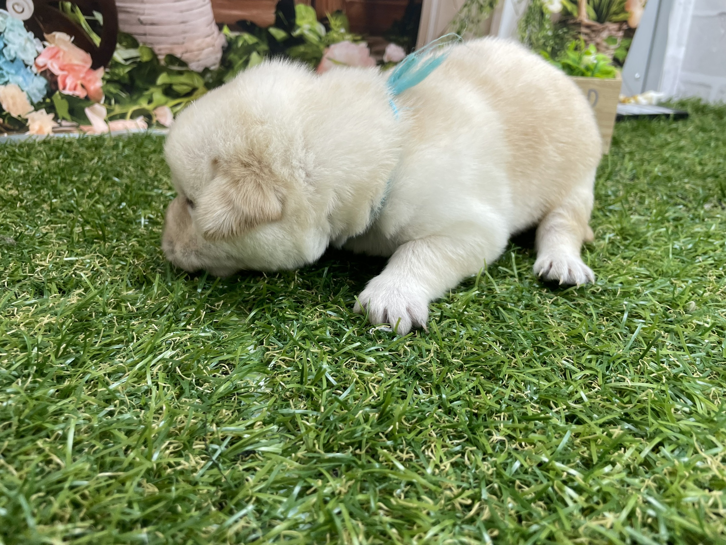 赤ちゃん写真1-2