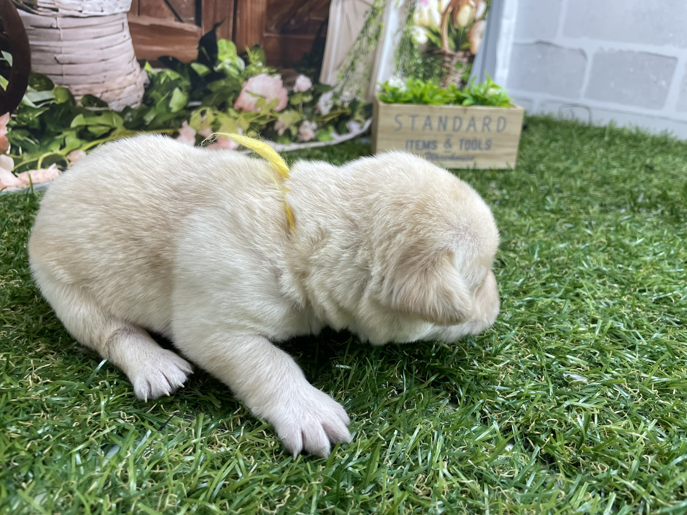 赤ちゃん写真1-2