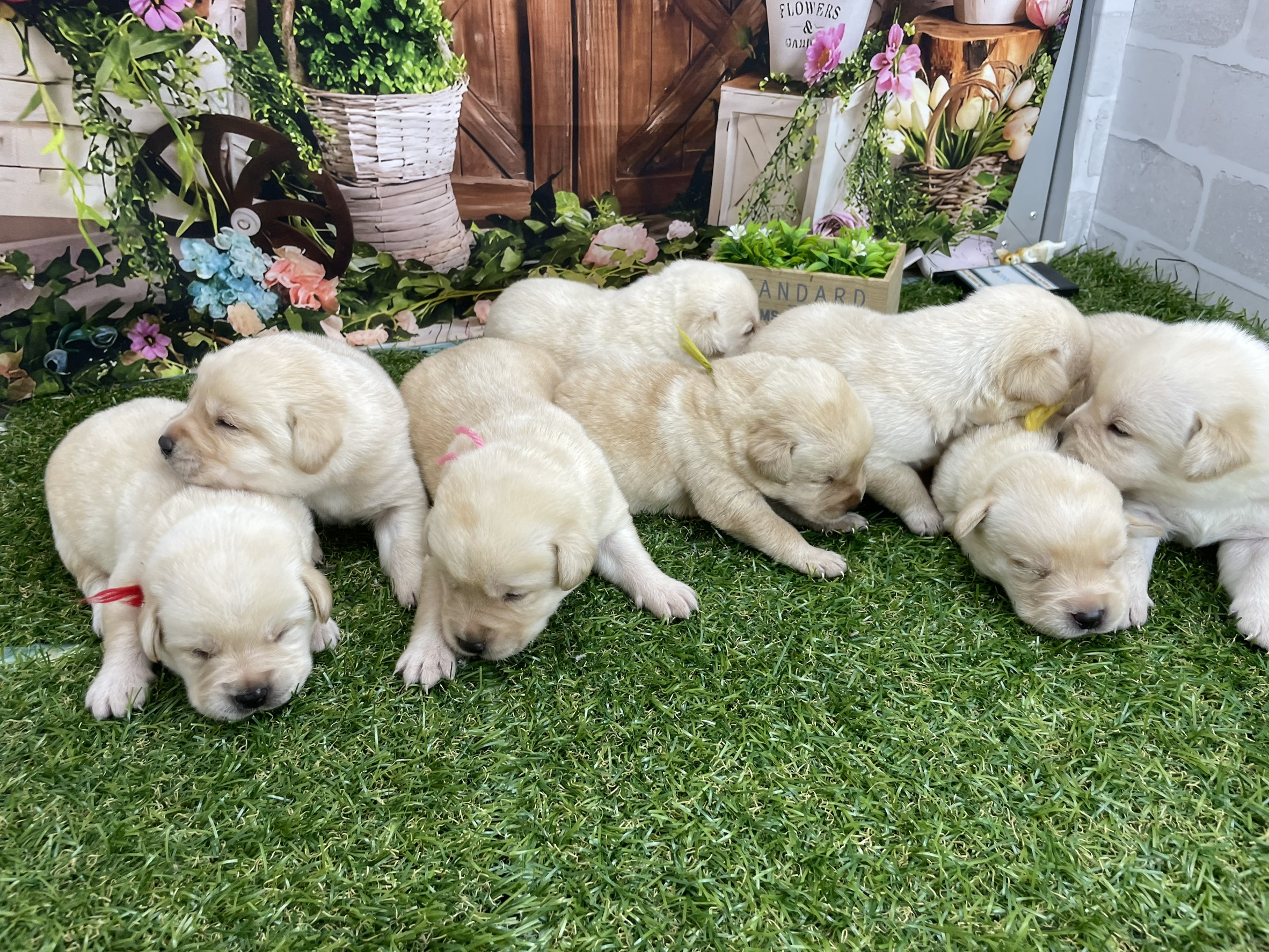 赤ちゃん写真1-3