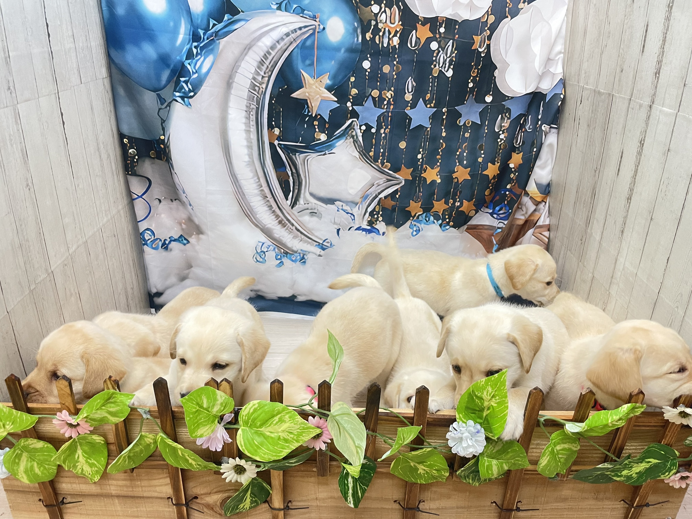 赤ちゃん写真3-3
