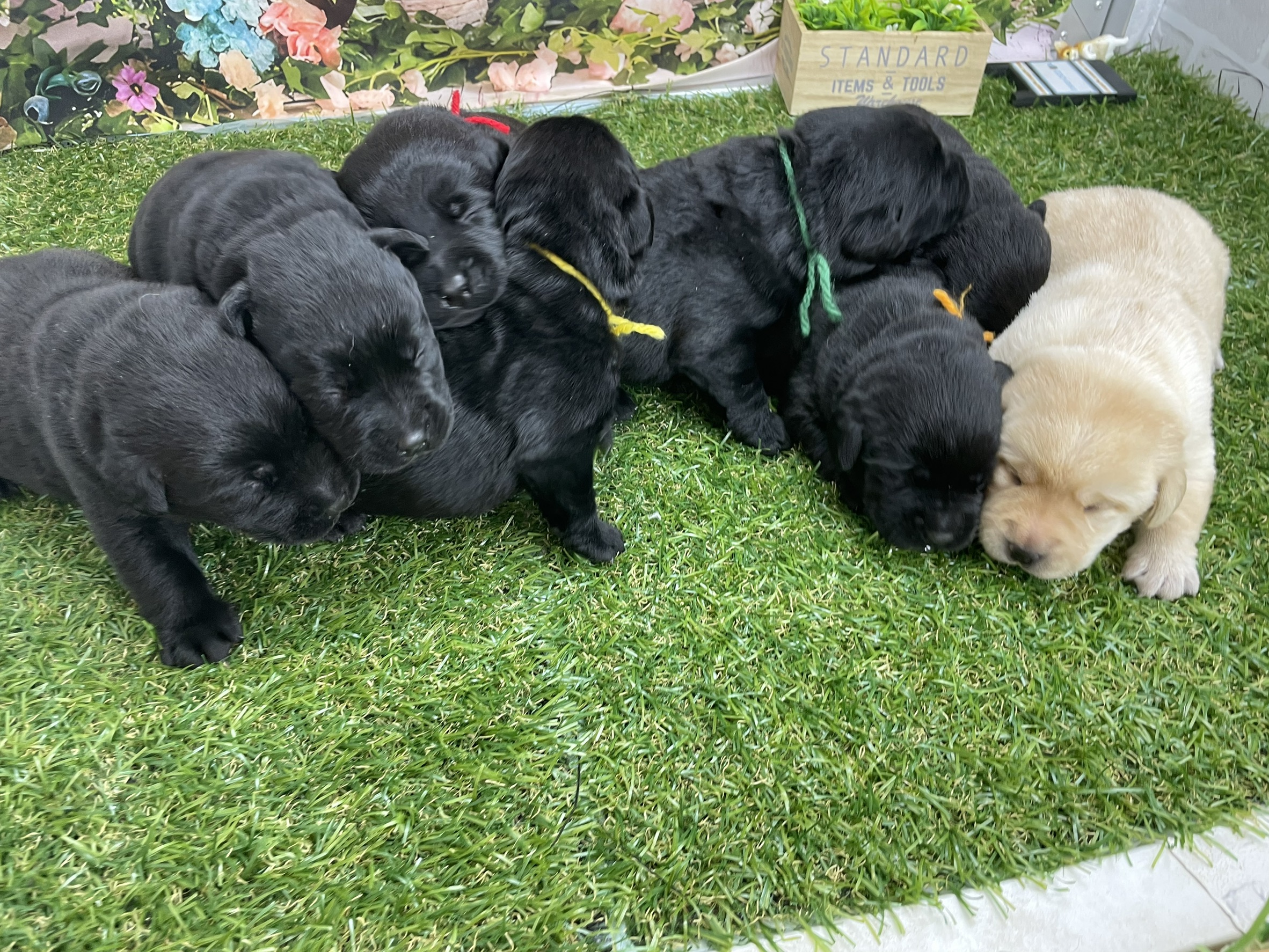 赤ちゃん写真1-3