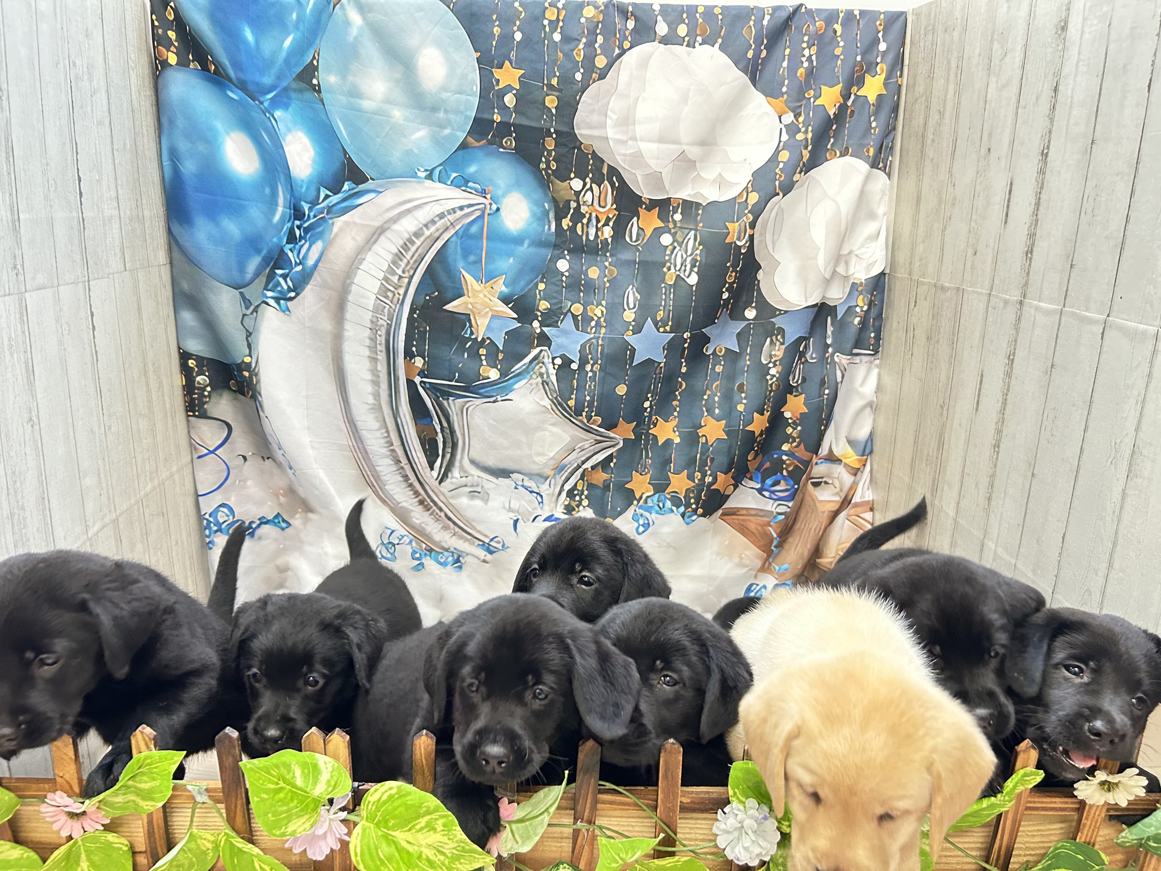 赤ちゃん写真3-3