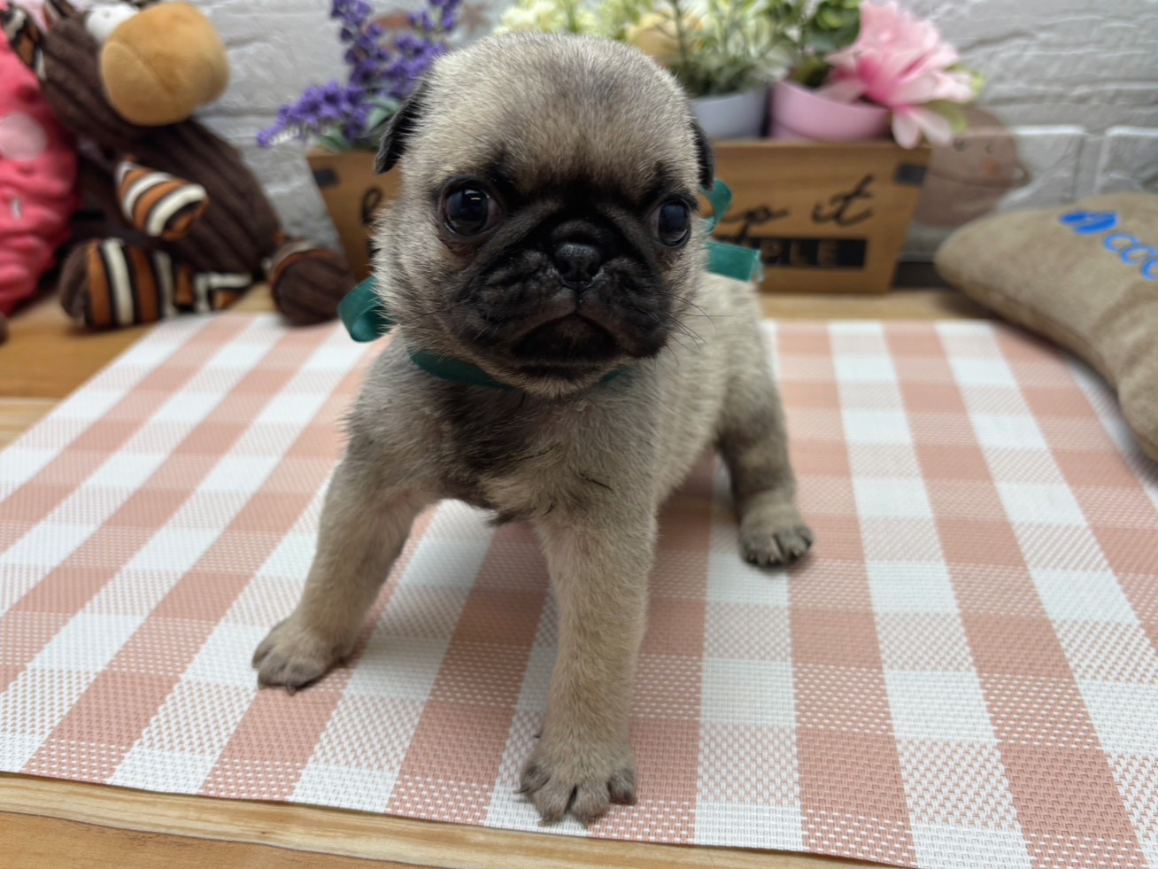 赤ちゃん写真2-1
