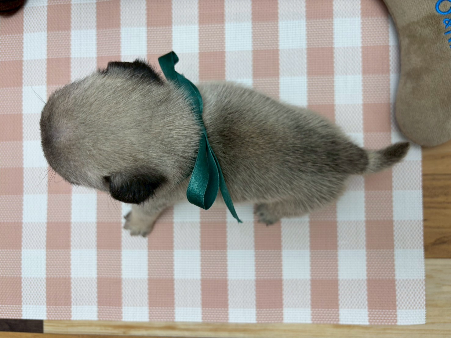赤ちゃん写真2-3