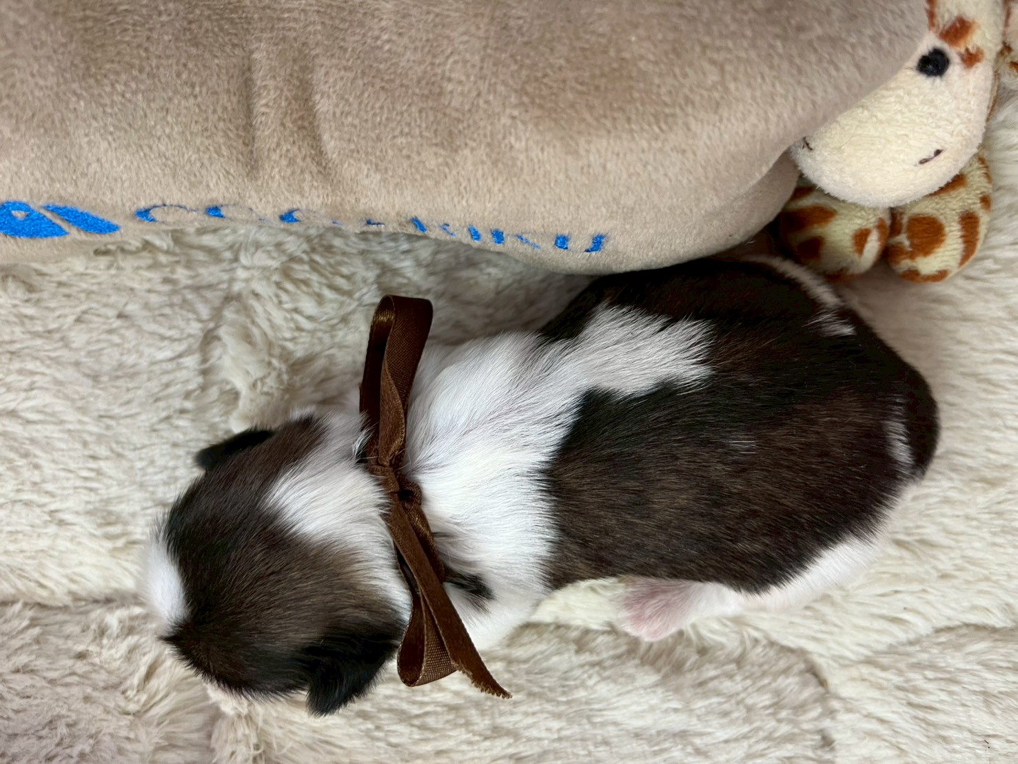 赤ちゃん写真1-3