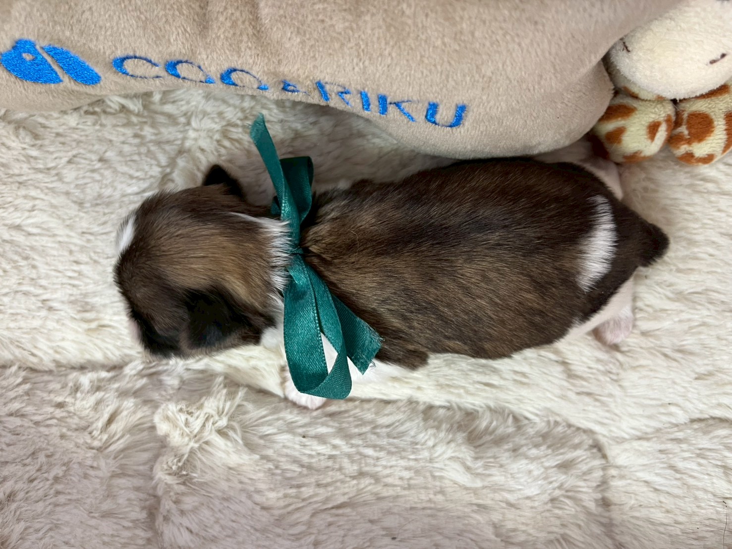 赤ちゃん写真1-3
