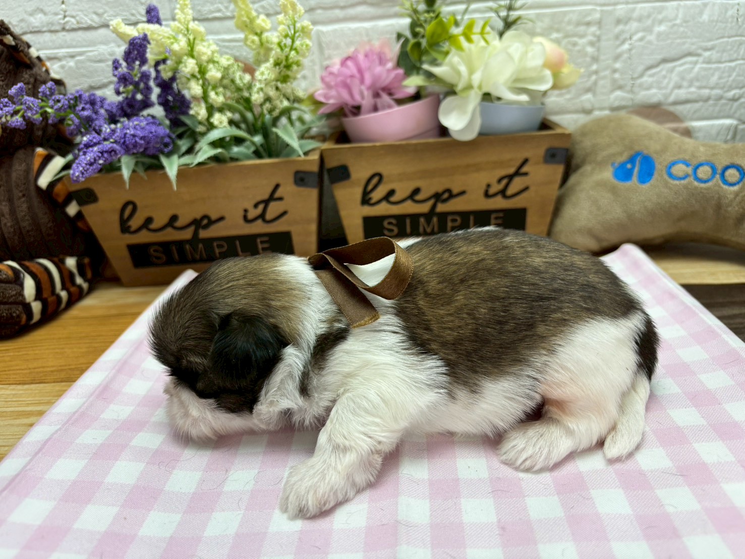 赤ちゃん写真2-2