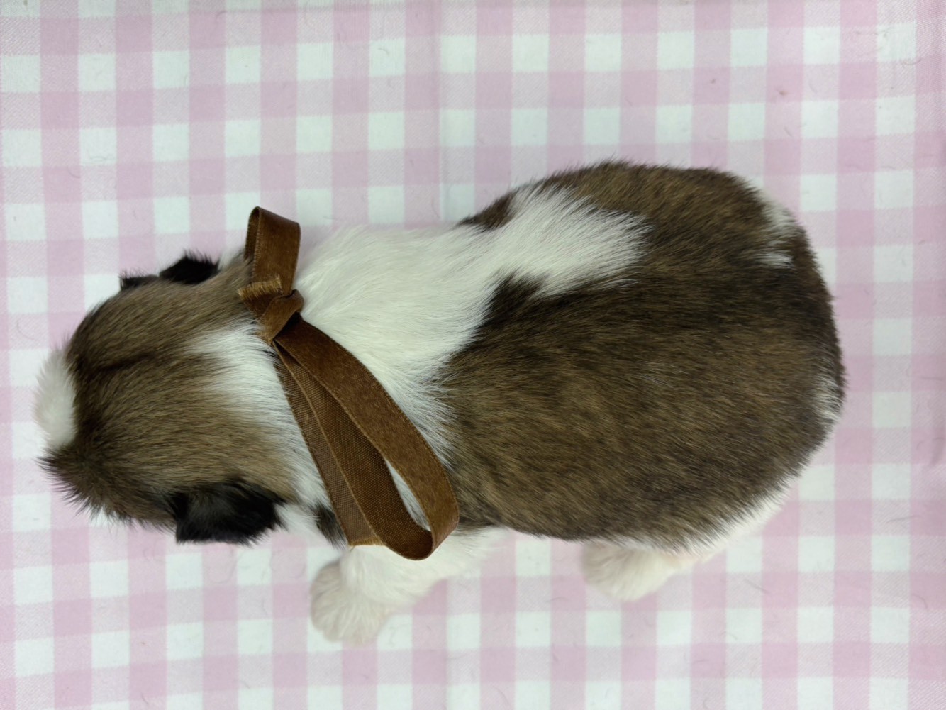 赤ちゃん写真2-3