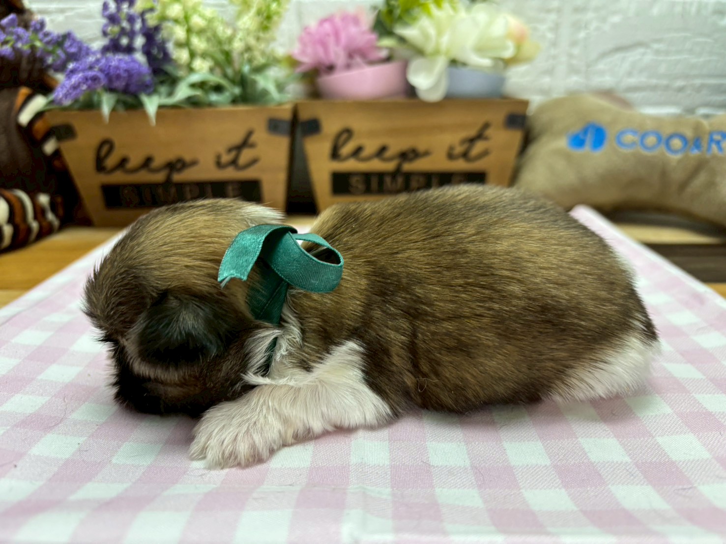 赤ちゃん写真2-2