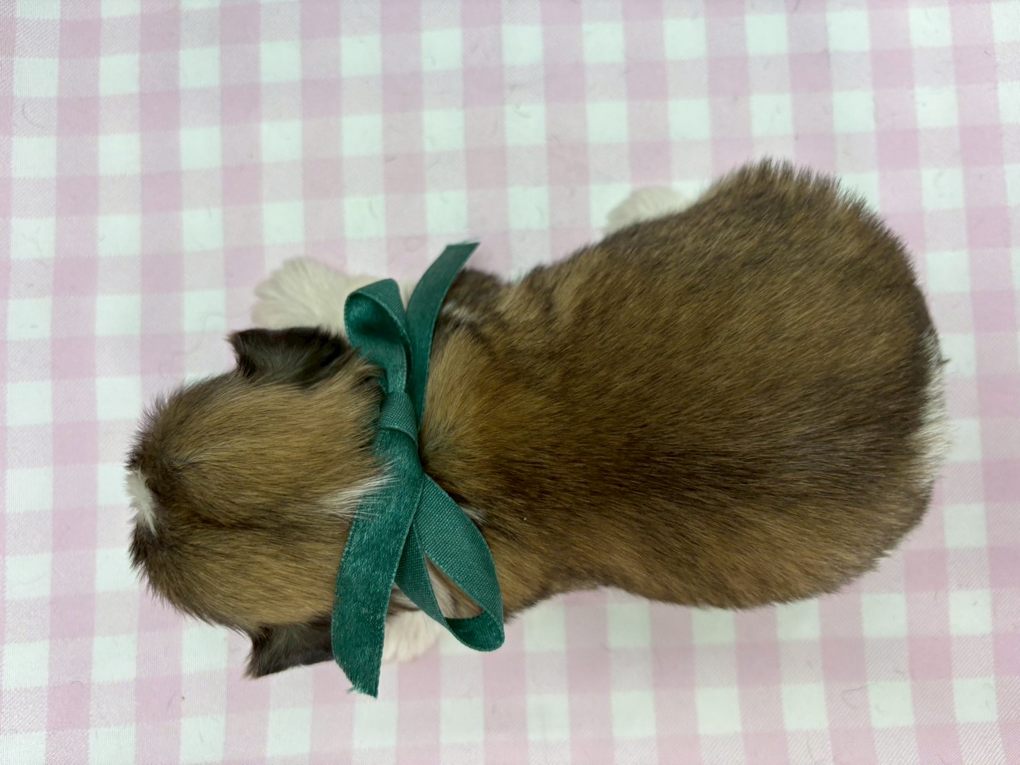 赤ちゃん写真2-3