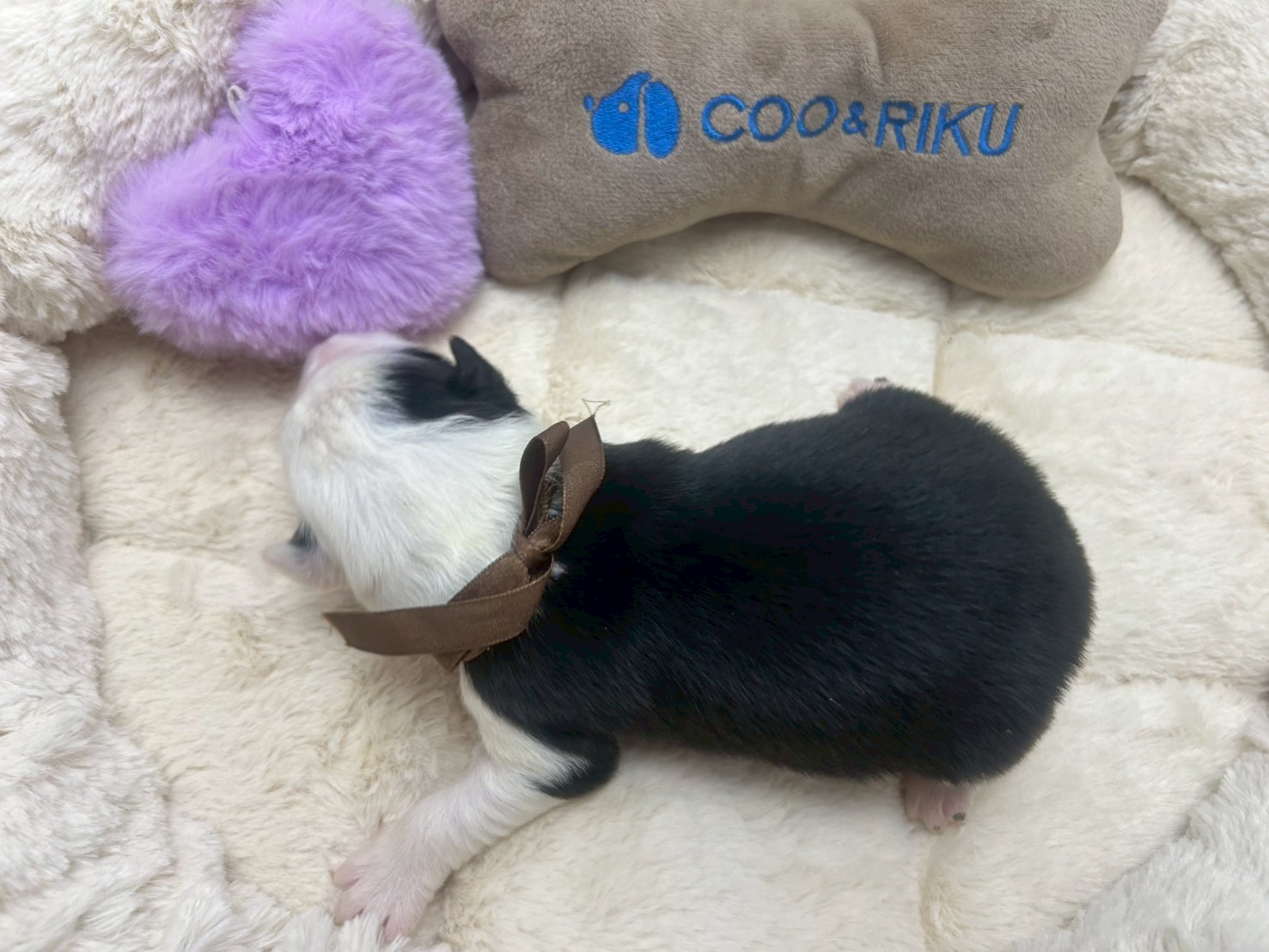 赤ちゃん写真1-3