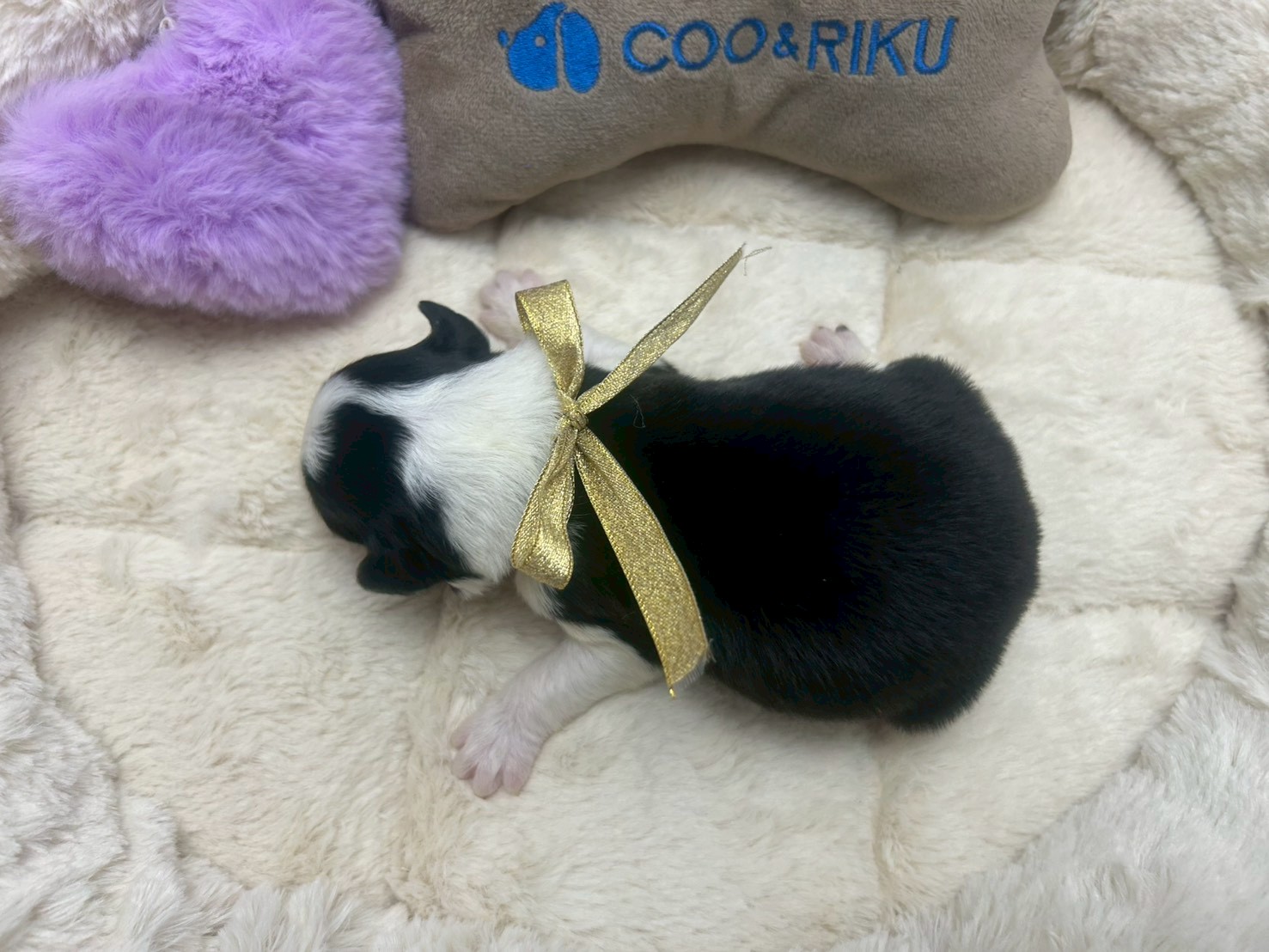 赤ちゃん写真1-3