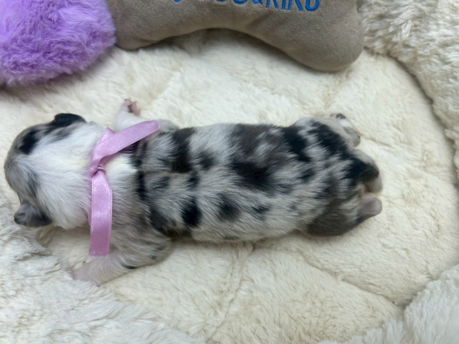 赤ちゃん写真1-3