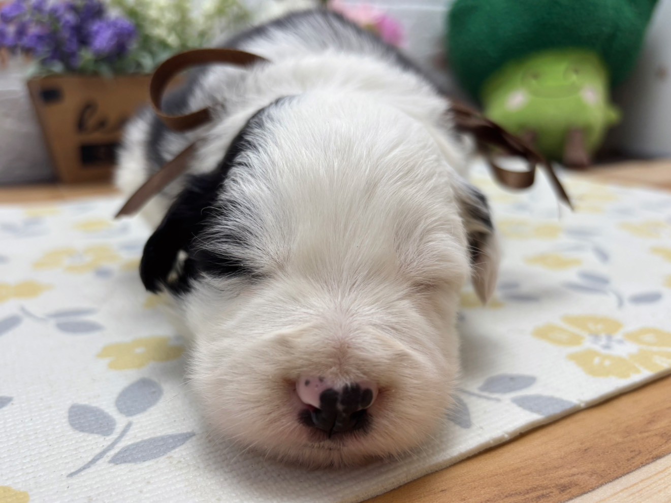 赤ちゃん写真2-1