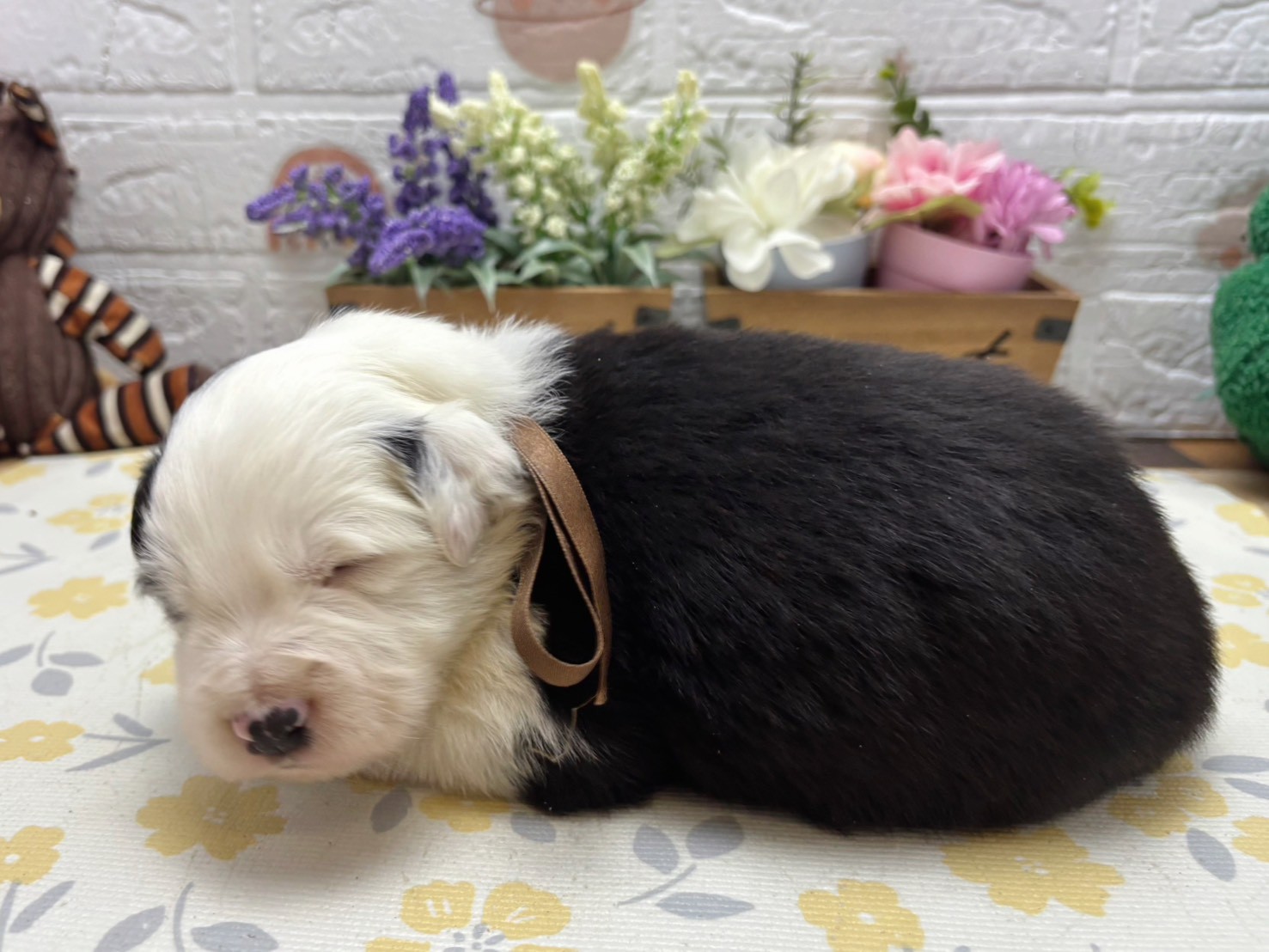 赤ちゃん写真2-2