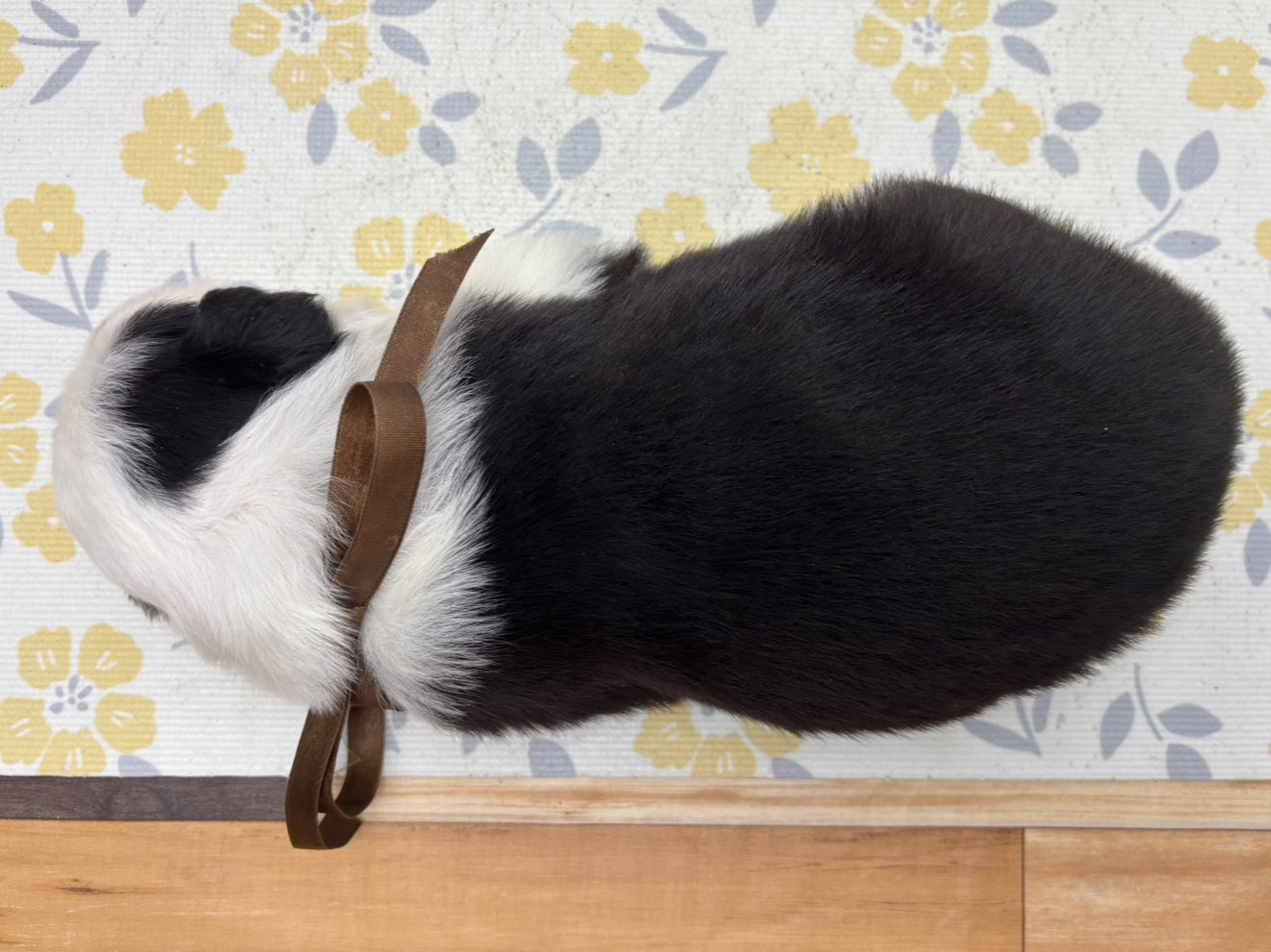 赤ちゃん写真2-3